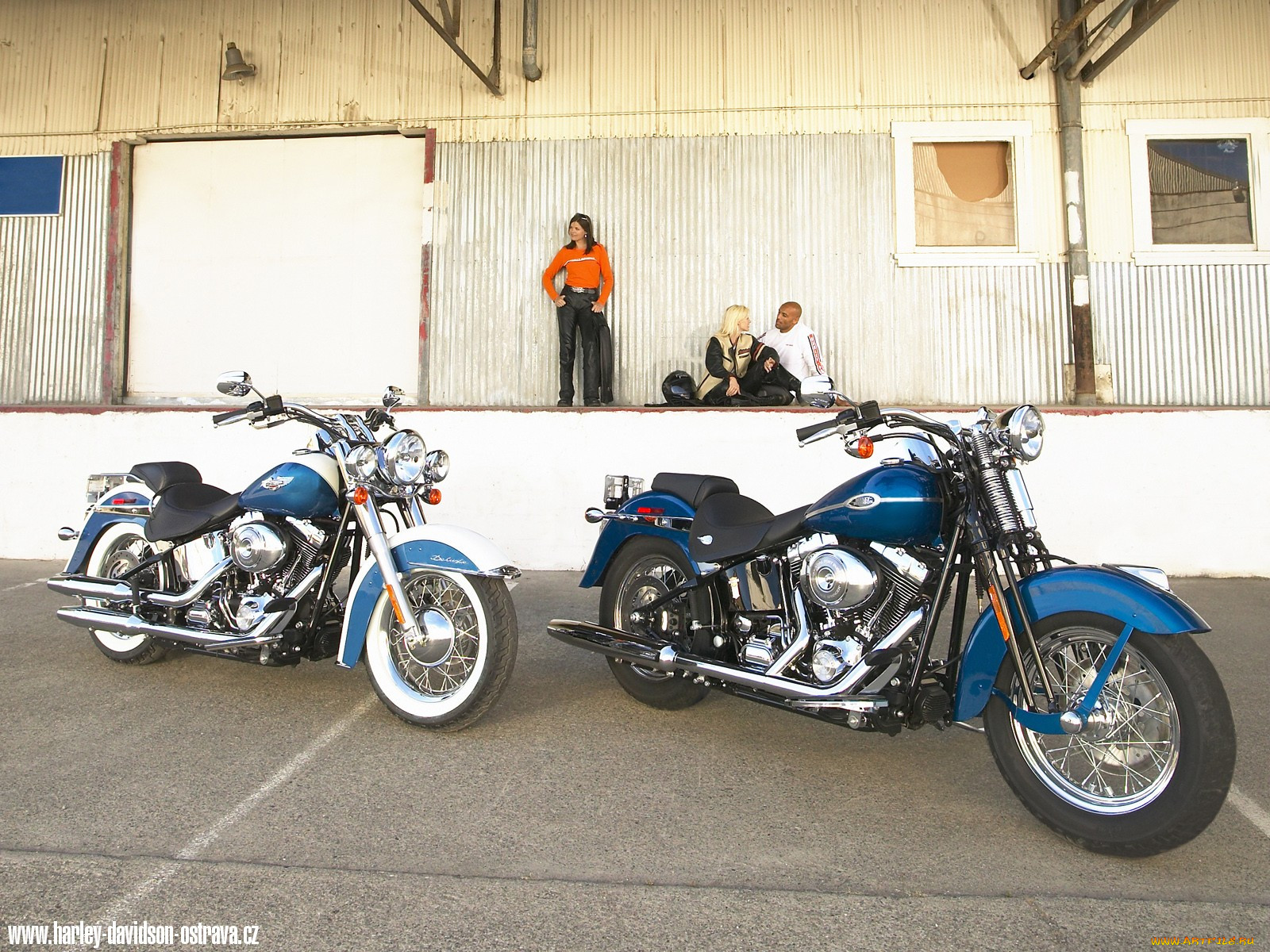 , harley, davidson